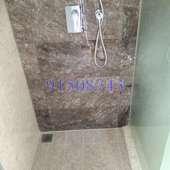 The Hillier (D23), Apartment #154810692